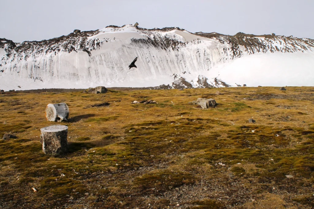 Geosciences Column: A new rock outcrop map and area estimation for the entire Antarctic continent