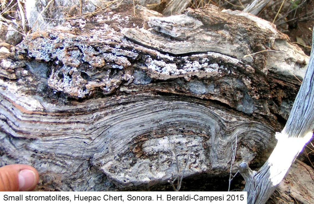Imaggeo on Mondays: The odd ‘living’ rocks