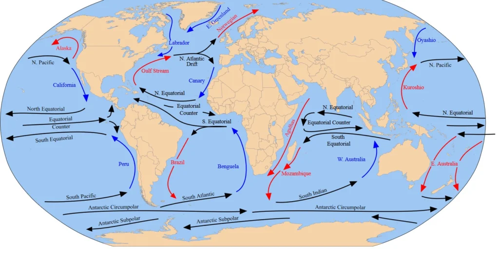 Knowing the ocean’s twists and turns