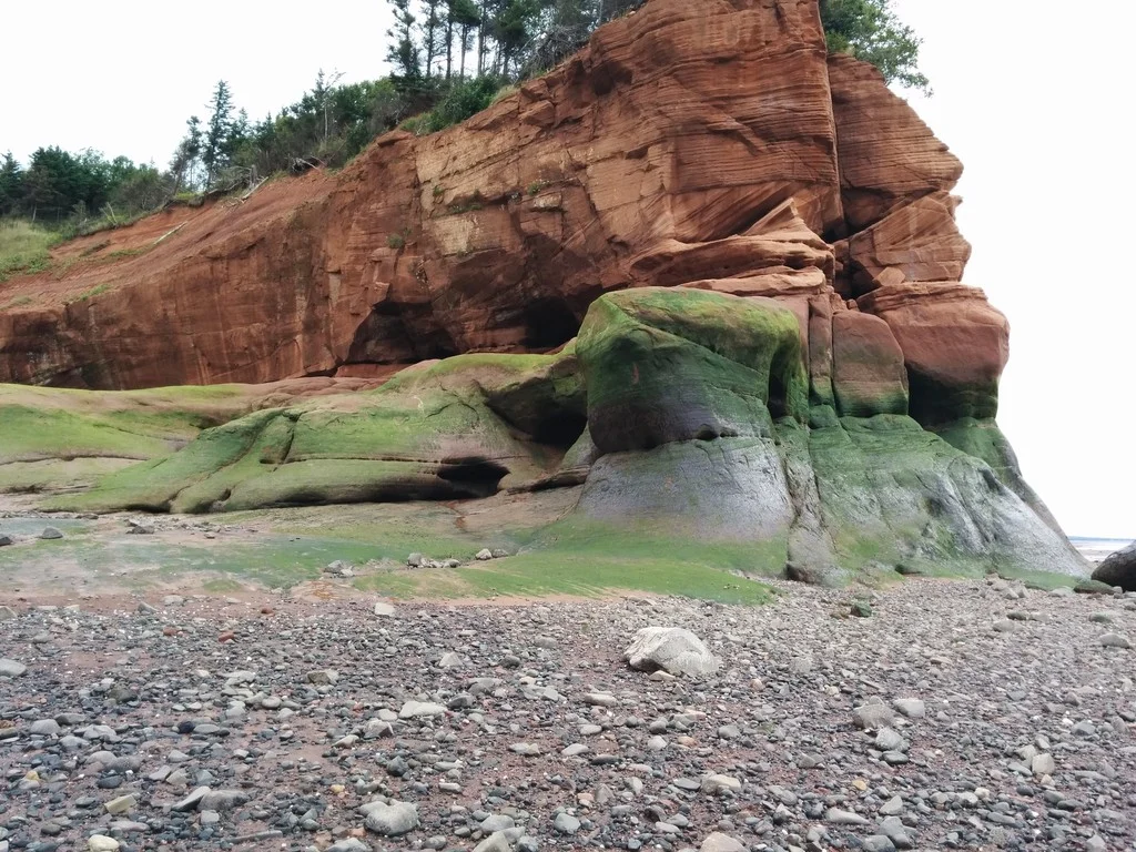 Imaggeo on Mondays: A modern cliff hides ancient dunes
