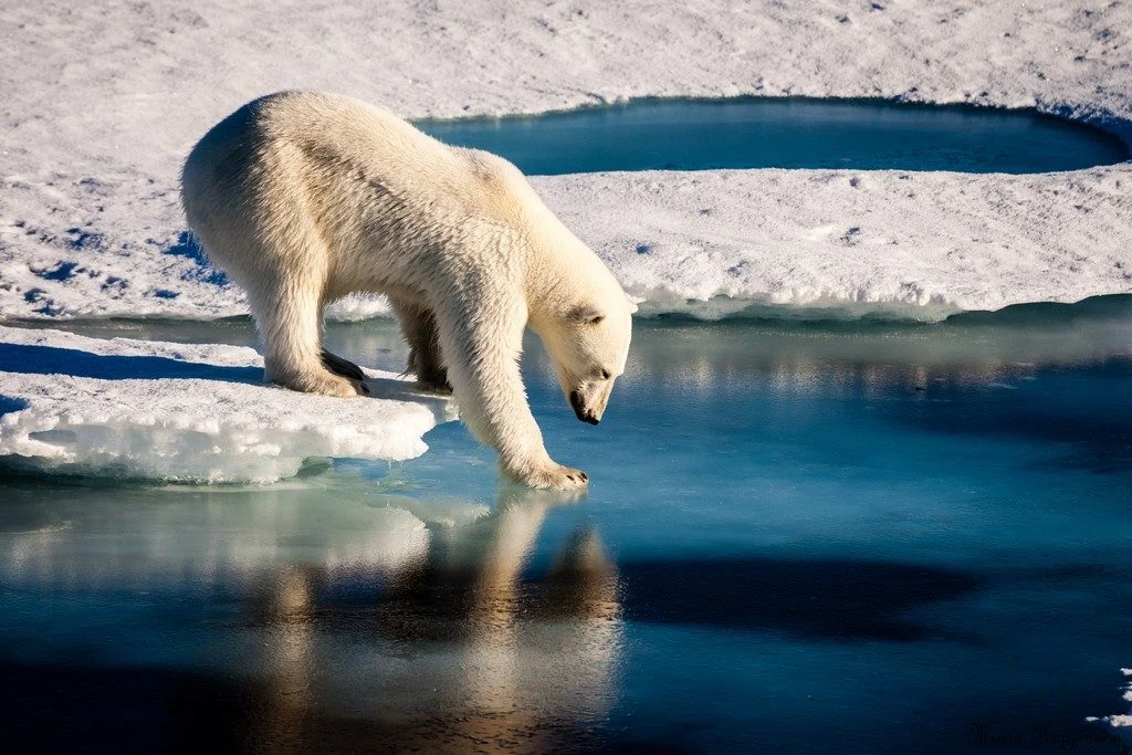 May GeoRoundUp: the best of the Earth sciences from around the web
