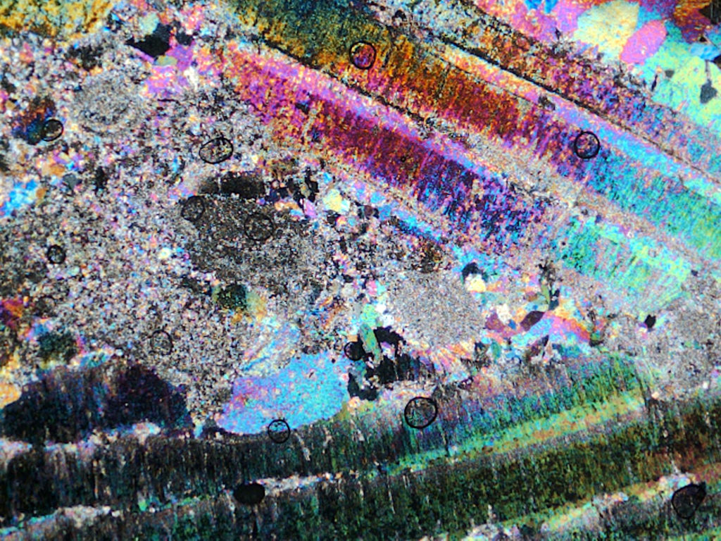 Imaggeo On Mondays: Psychedelic Foraminifera
