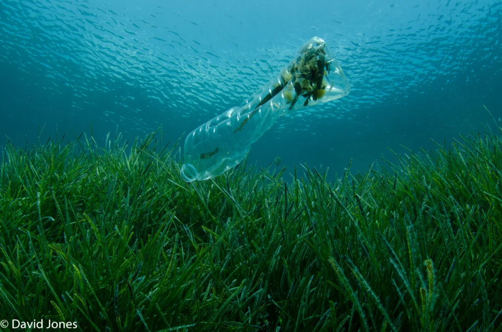 Imaggeo On Mondays: “The most valuable thing we extract from the ocean is our existence” Dr Sylvia Earle