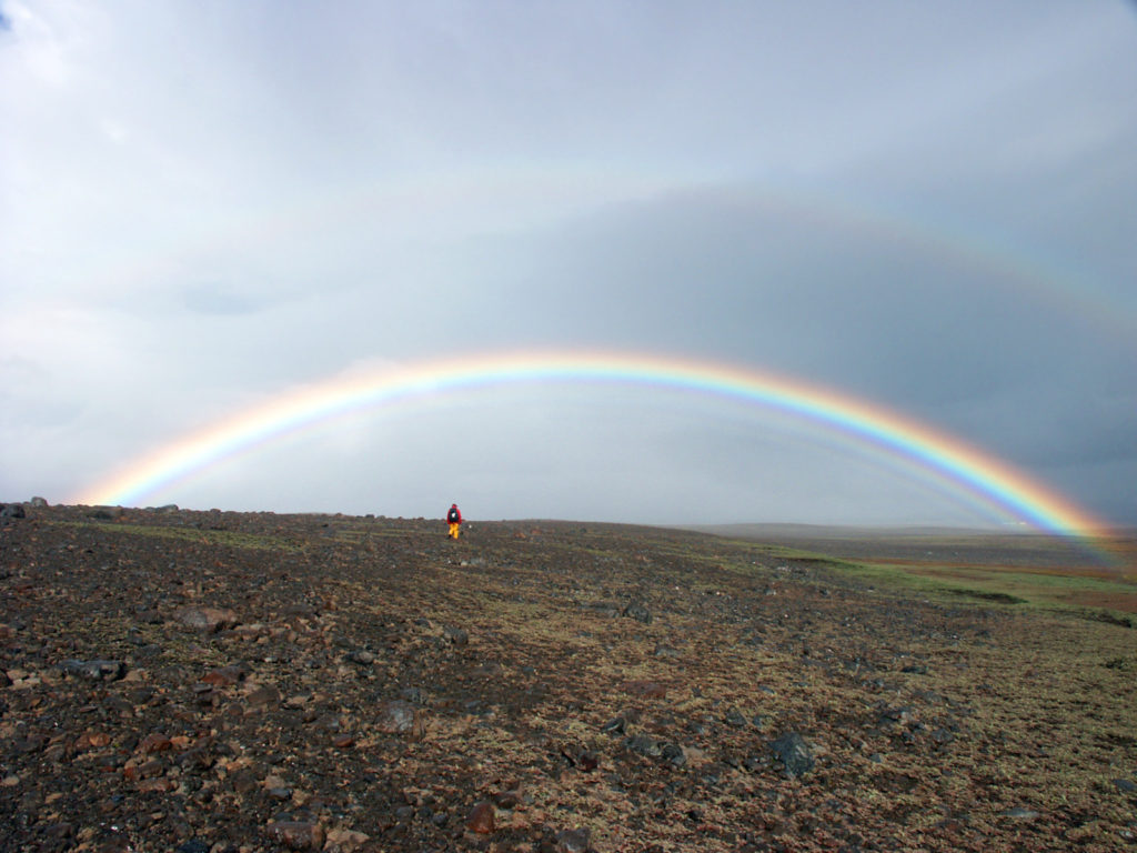 LGBTQIA+ in the field