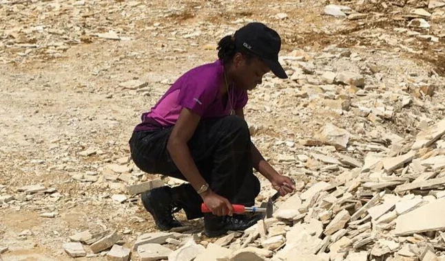 GeoTalk: Nadine Gabriel, creator of #AreYouSiO2? and Assistant Curator of Fossil Mammals.