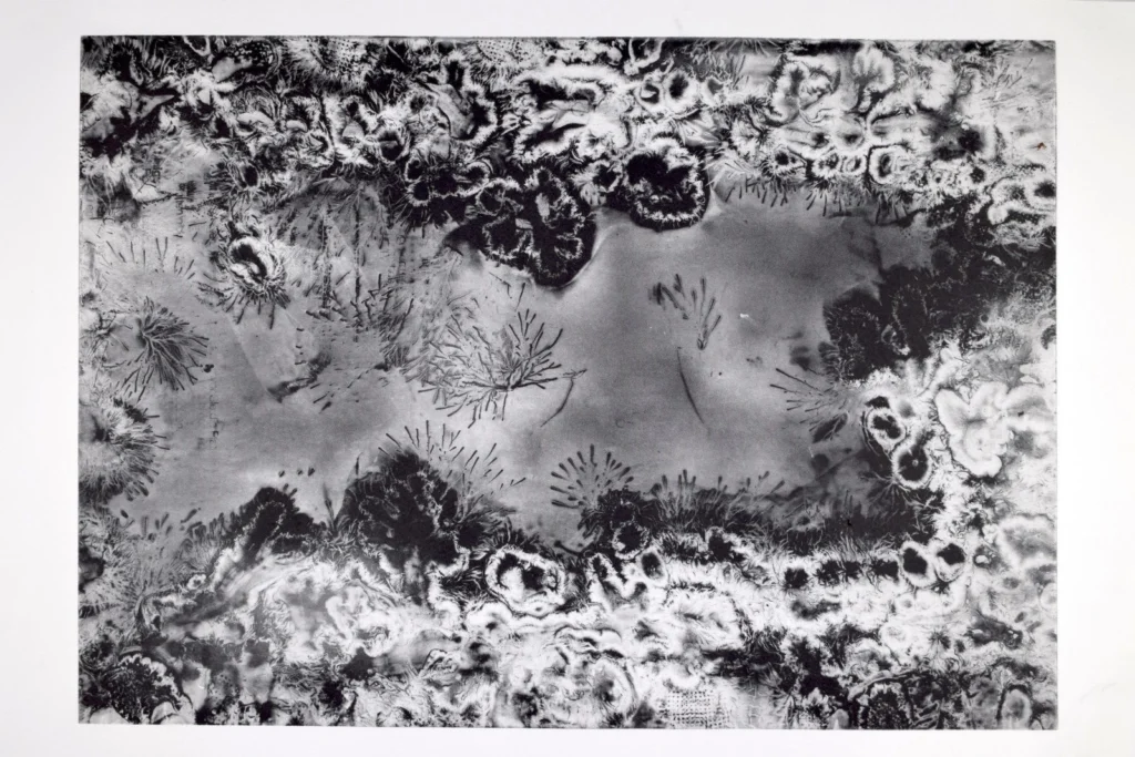 Imaggeo On Monday: Lichtenberg Figure Visualisation