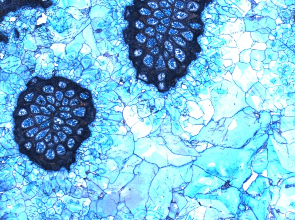 Imaggeo On Monday: Blue cements in Jurassic rocks?