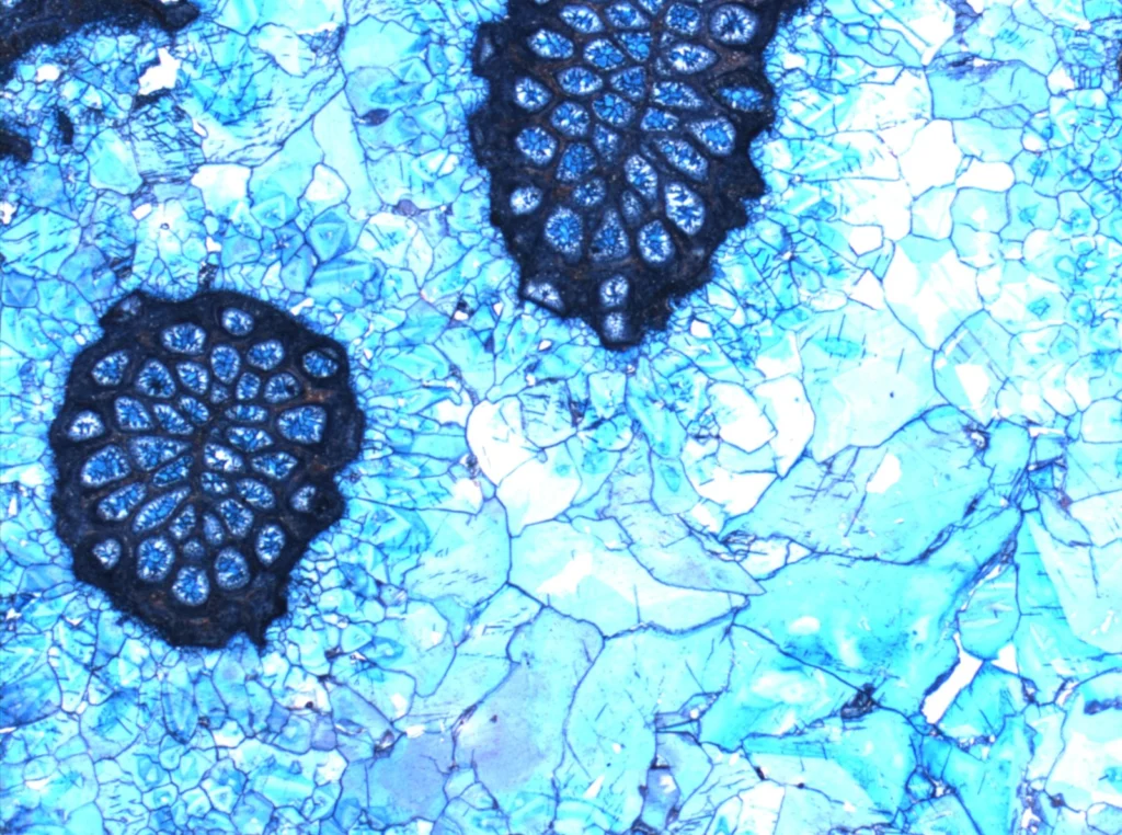 Imaggeo On Monday: Blue cements in Jurassic rocks?
