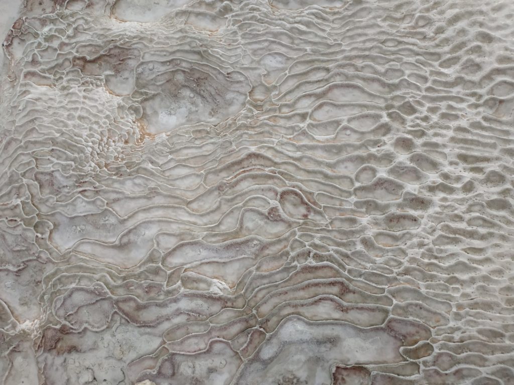 Imaggeo On Monday: Fingerprint in the cotton