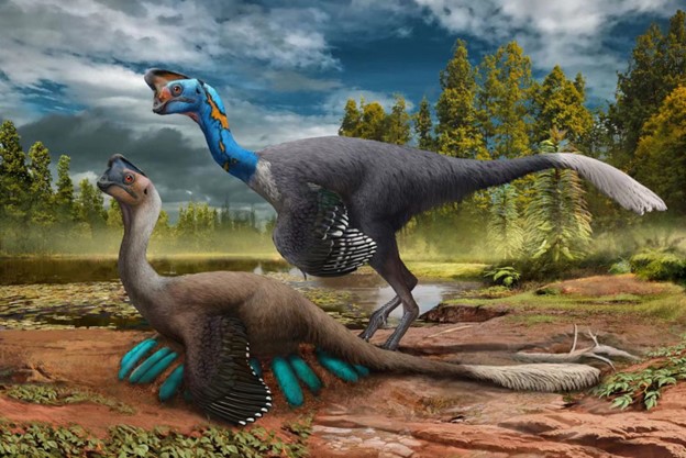 100 years since we learned dinosaurs laid eggs, what do we know now?