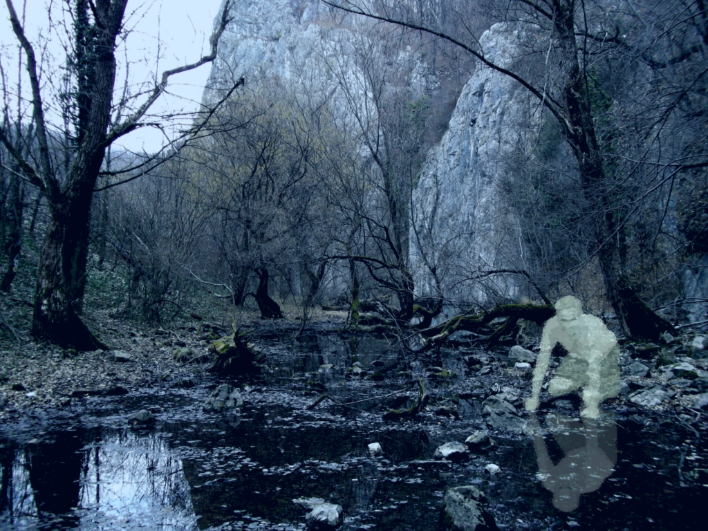 Swamps may be considered spooky, but is there more than meets the eye?