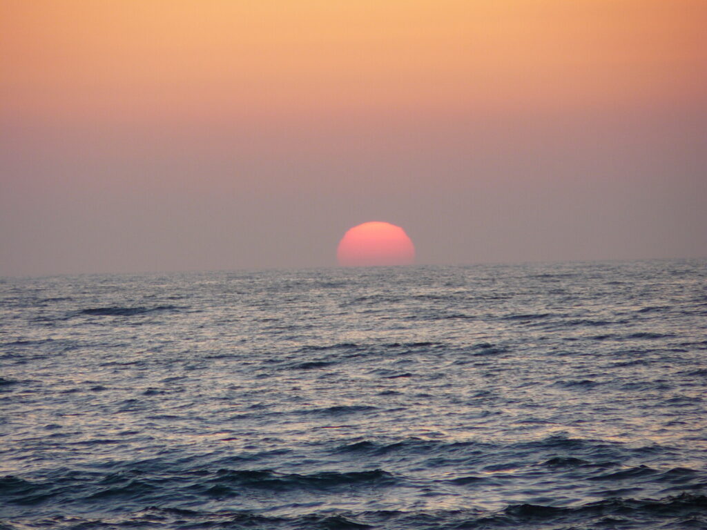 Ocean hypoxia: what does the increase of dead zones mean for marine life?