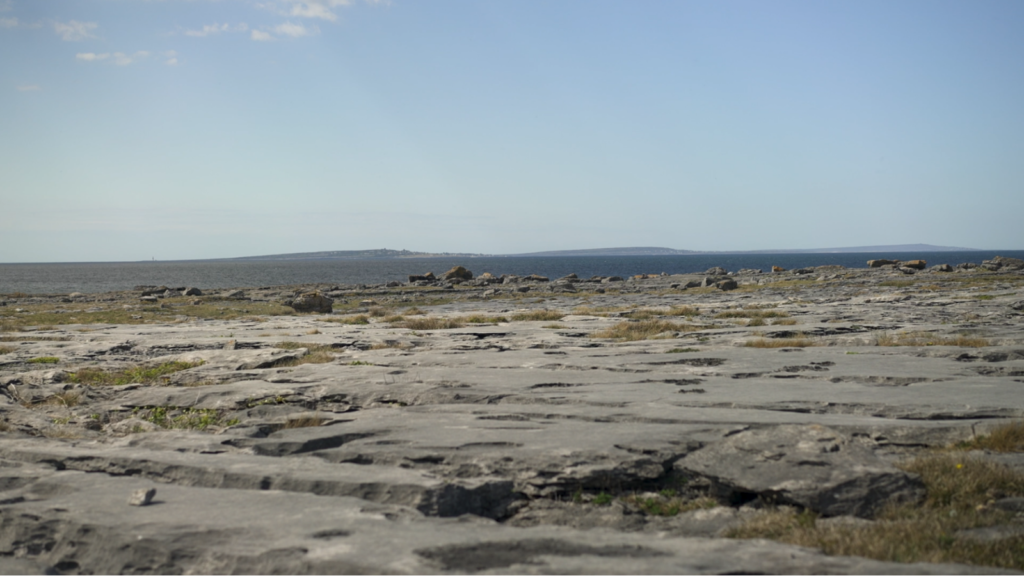 Marine Geoscience through art and storytelling: An interview with Fergus McAuliffe, winner of the EGU Geoscience Day Award