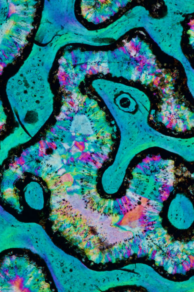 EGU Photo Competition 2026: Now open for submissions!