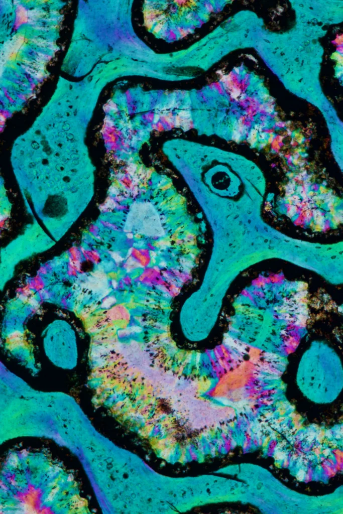 EGU Photo Competition 2026: Now open for submissions!