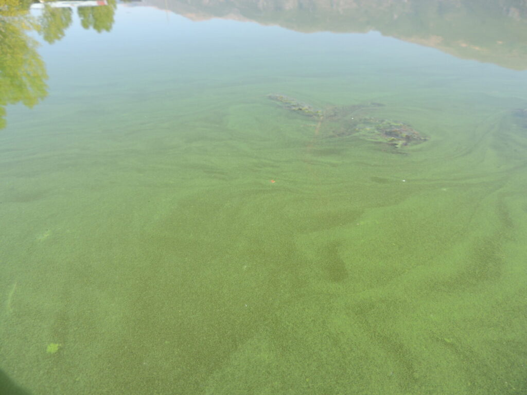 GeoPolicy: The first case of rights of Nature in Europe: The Mar Menor Lagoon