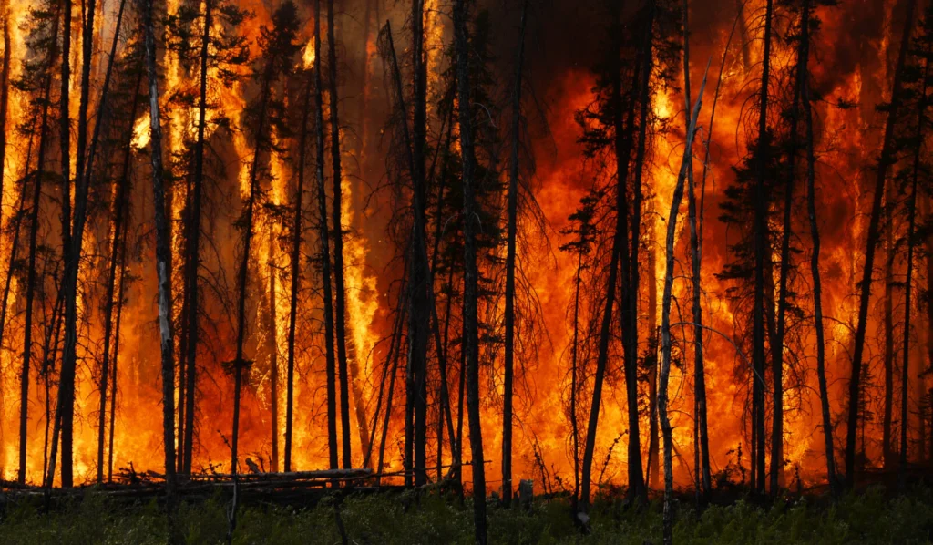 A trial by fire: Can we learn how to read a burning planet?