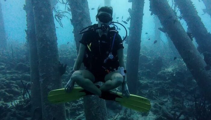 Yes, Nature is transgender too! Between fish, fluidity and finding myself as a trans marine biologist