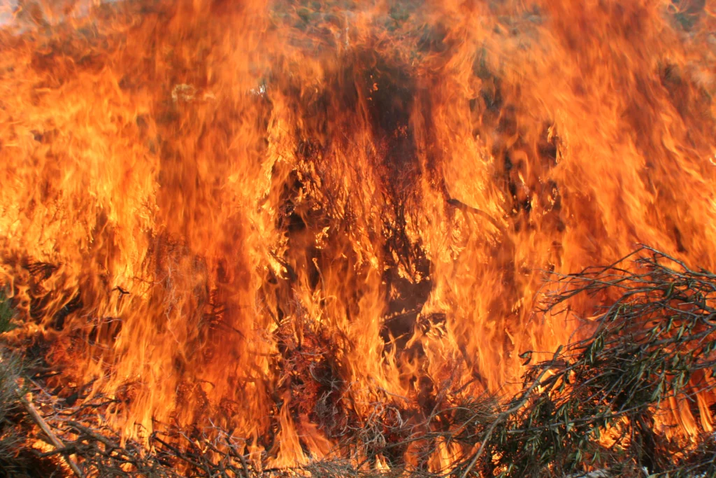 GeoPolicy: How the geography of risk is changing for Europe’s wildfires