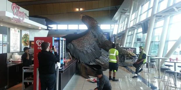 eagle_620x311
