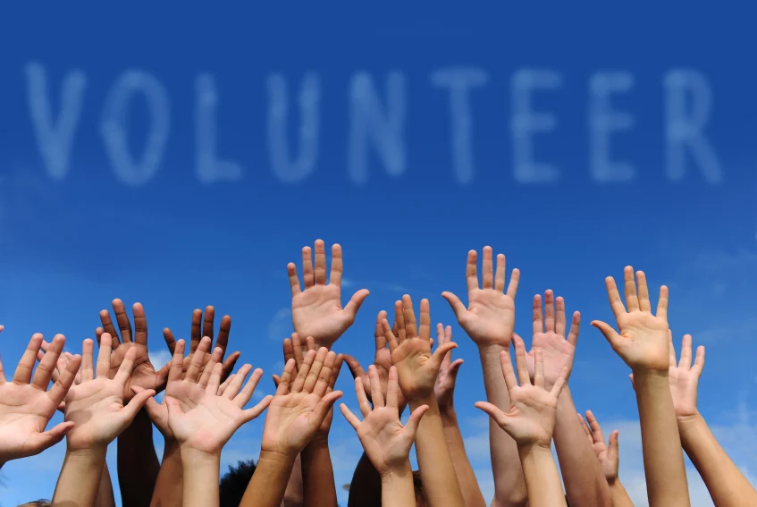 volunteer_stock_small