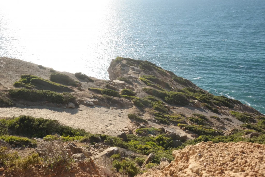 Dinosaur footprints in Cretaceous rocks seen by participants during the field trip.