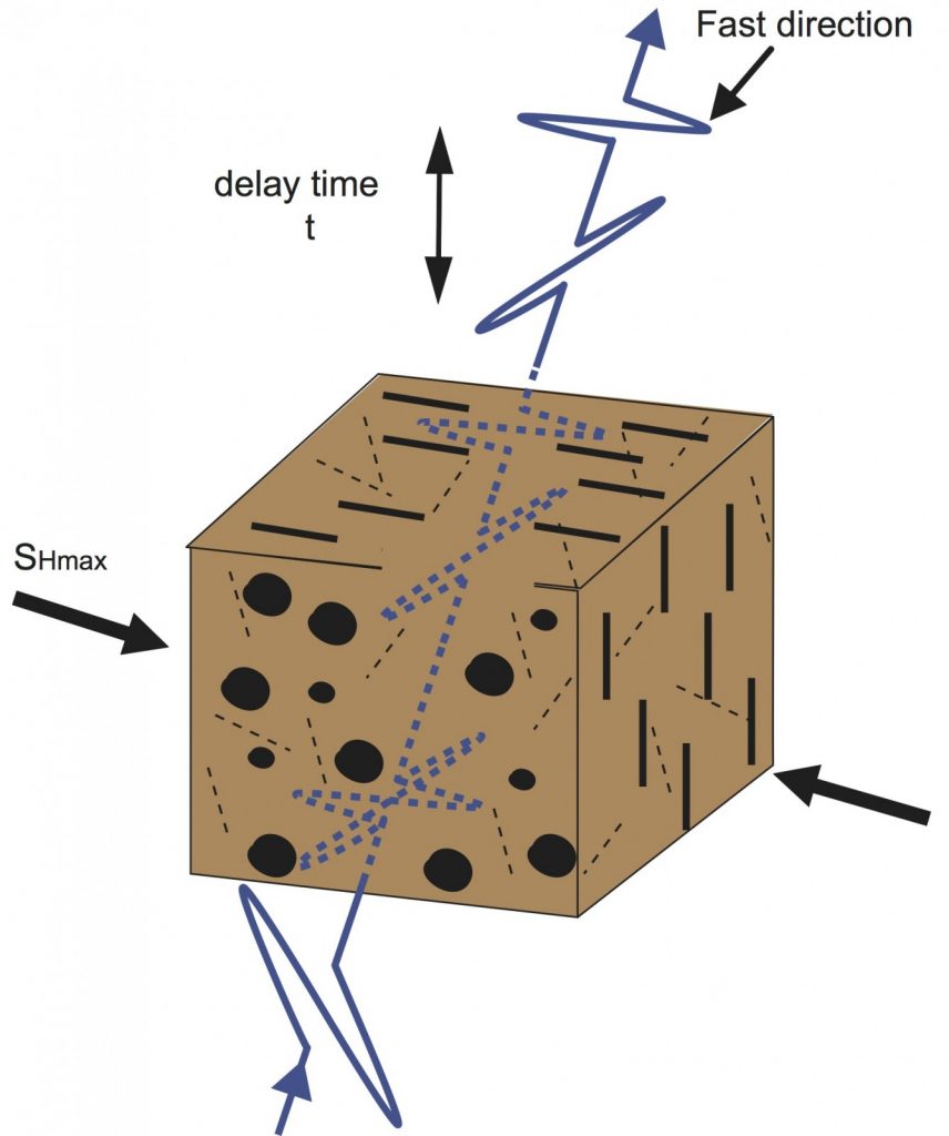 Shear wave splitting in an anisotropic crust. Anisotropy is caused by preferentially aligned cracks due to a maximum horizontal compressive stress (SHmax). A vertically propogating shear wave that is arbitrarily polarised gets split into a fast wave with polarisation (φ) parallel to crack alignment, and a slow wave, which is polarised at 90° to φ. The waves are seperated with delay time δt.