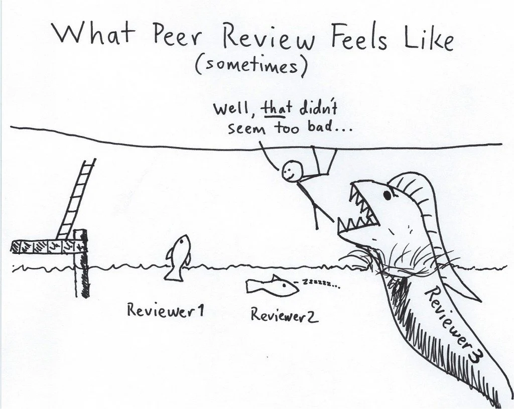 Harsher than reviewer 2?