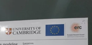 British poster with European flag