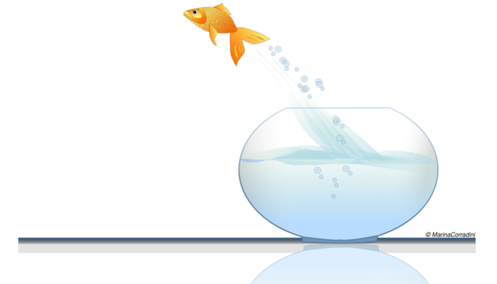 Jumping out of Academia