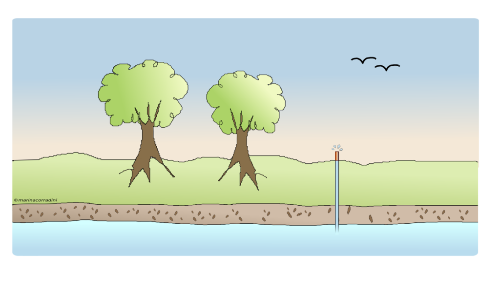 Ambient seismic noise and the quest for groundwater