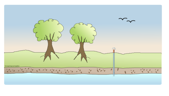 Ambient seismic noise and the quest for groundwater