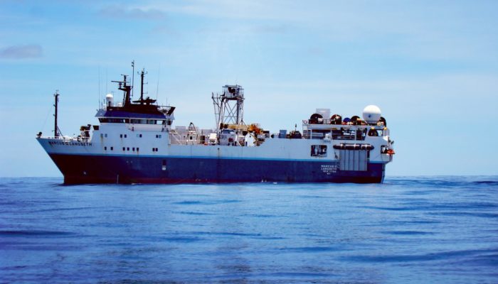 Representing the Possible: Milena Marjanović