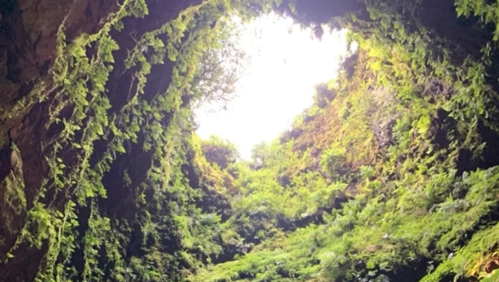 Seismic Swarms in the Azores