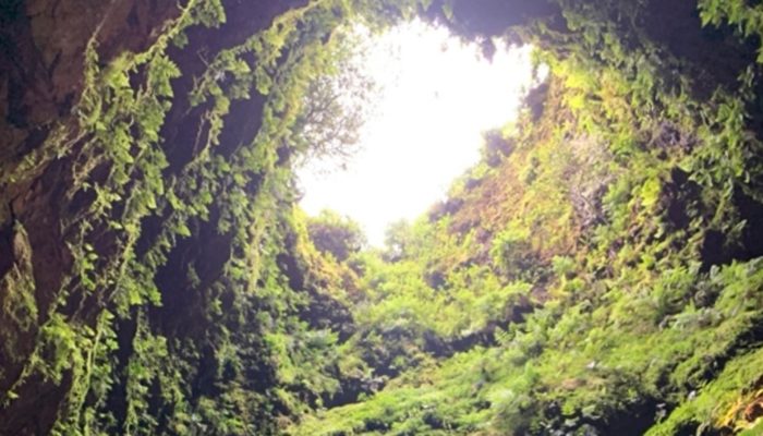 Seismic Swarms in the Azores