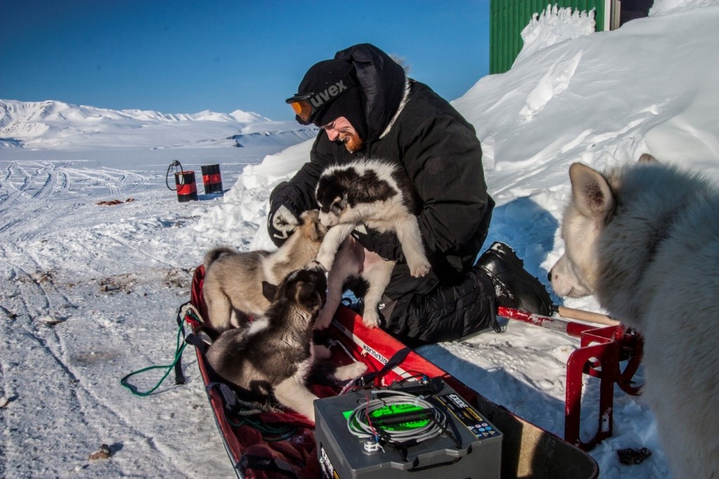 Figure 4: An unexpected challenge during fieldwork: invasion by sled dog pups. Photo: Karl Attard.