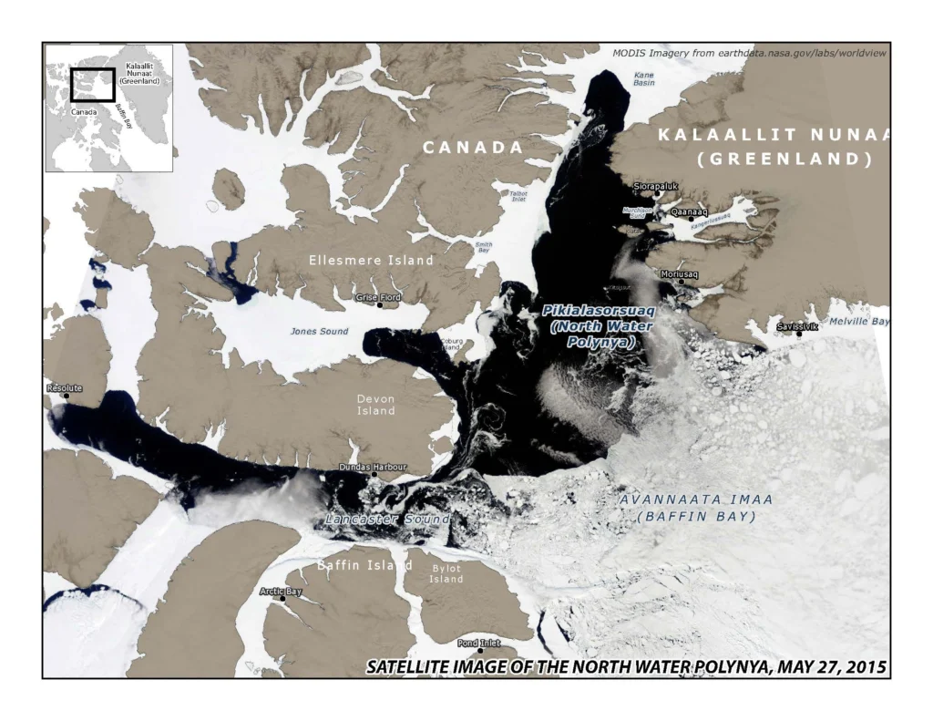 What a polynya looks like, from MODIS satellite: (https://modis.gsfc.nasa.gov/)