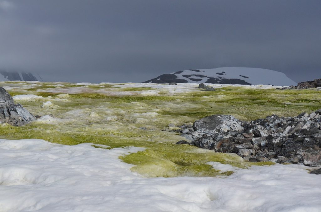 Image of the Week – Fifty shades of snow