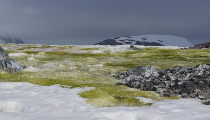 Image of the Week – Fifty shades of snow