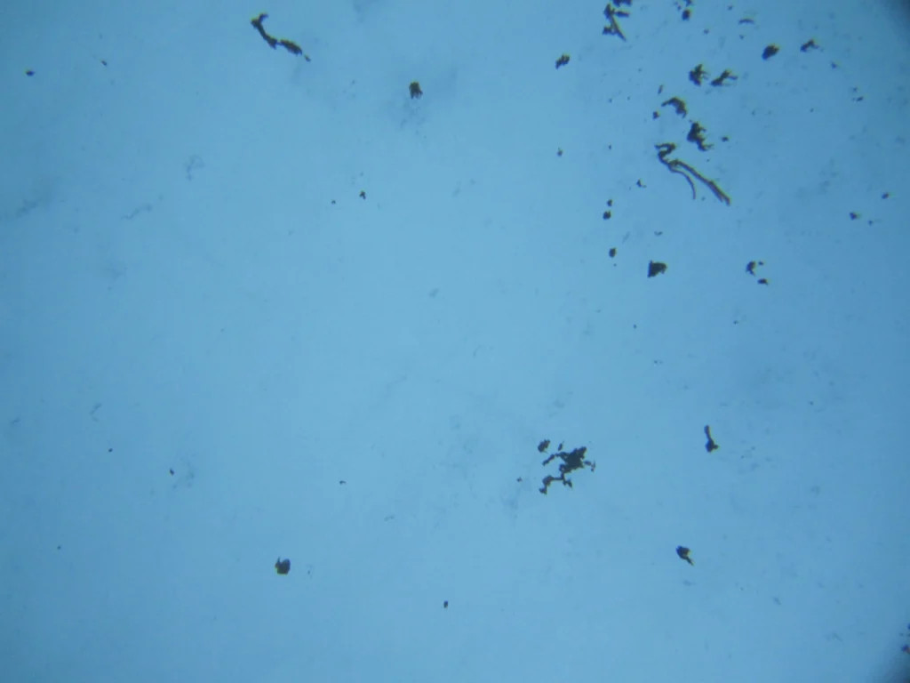 Image of the Week – ROVing in the deep…