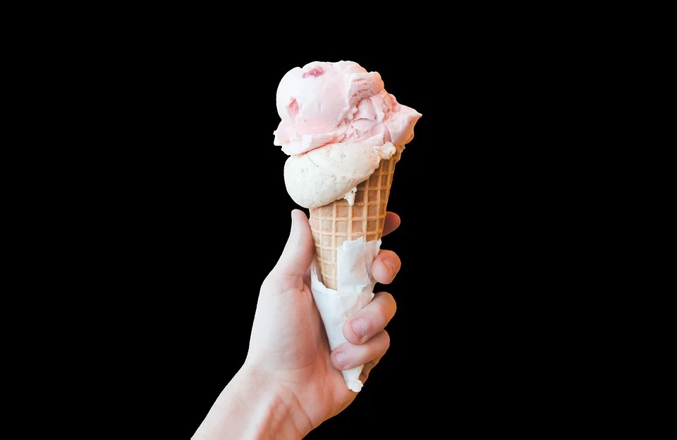 Image of the Week – Edible cryosphere at EGU 2018!