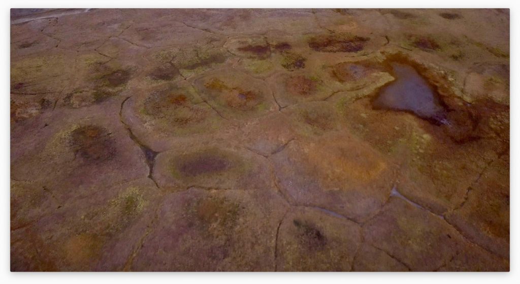 Image of the Week — Biscuits in the Permafrost