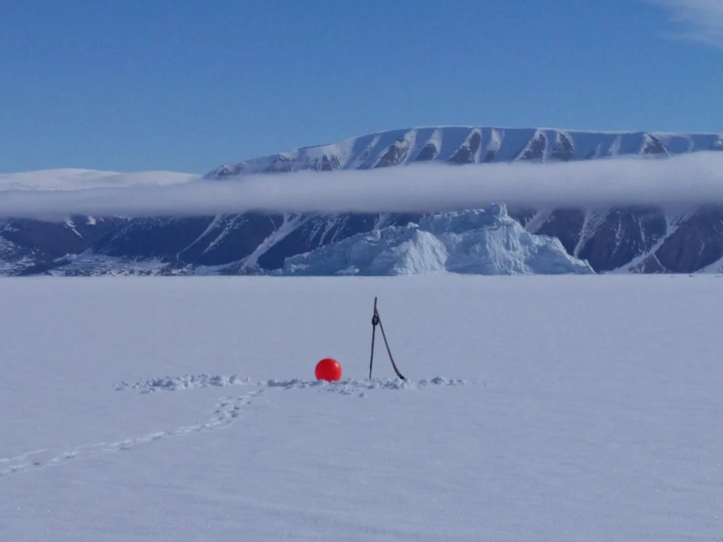 Image of the Week – Icy expedition in the Far North