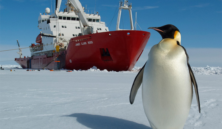 Image of the Week –  Stuck in the ice: could it have been predicted?