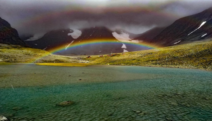 Surviving in cold environments: from microbes under glaciers to queer scientists in the current social context