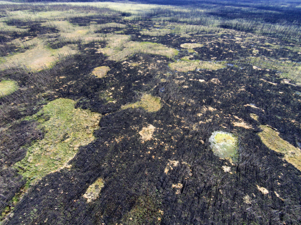 For Dummies – How do wildfires impact permafrost? [OR.. a story of ice and fire]