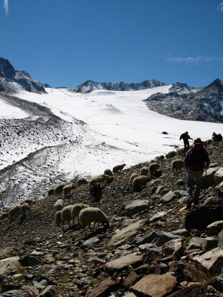 Education in glaciology: Witnessing the death of a glacier