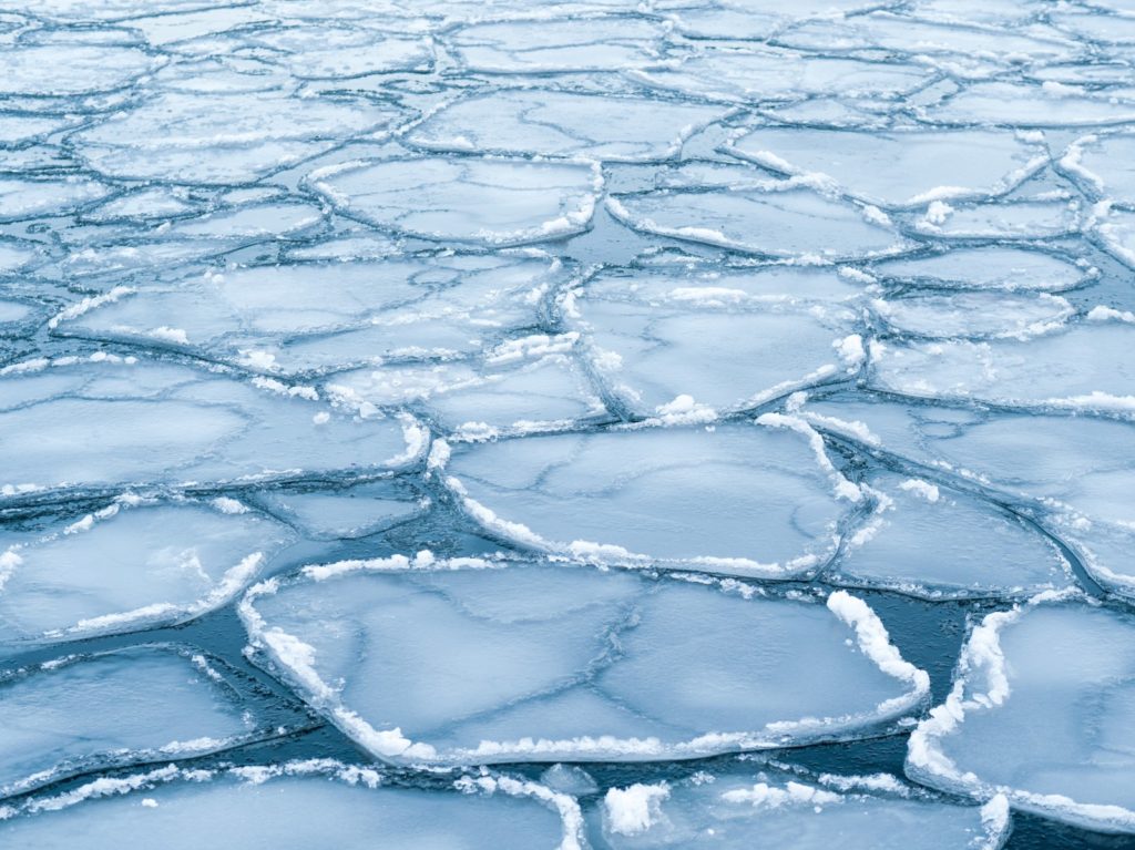 Did you know…  the difference between sea-ice area and sea-ice extent?