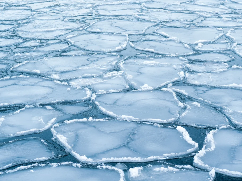 Did you know…  the difference between sea-ice area and sea-ice extent?