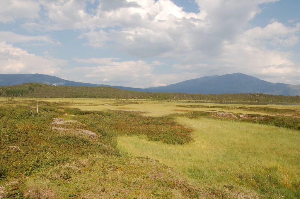 Climatic drivers of permafrost mounds in North American peatlands